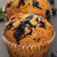 Keto Instant Pot Blueberry Muffin