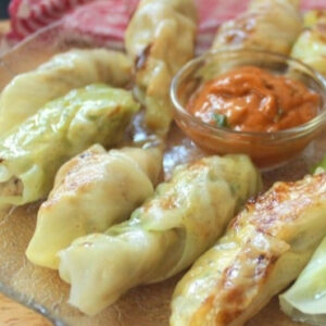 chicken and cabbage dumplings